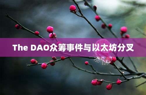 The DAO众筹事件与以太坊分叉