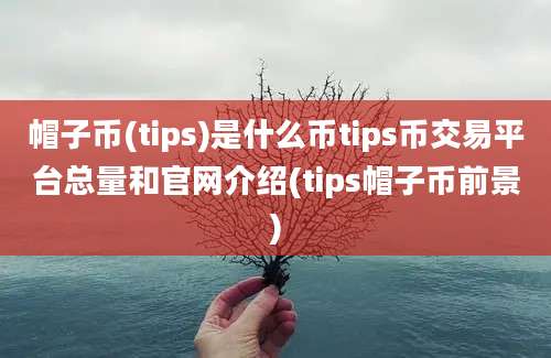 帽子币(tips)是什么币tips币交易平台总量和官网介绍(tips帽子币前景)