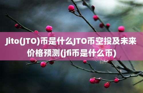 Jito(JTO)币是什么JTO币空投及未来价格预测(jfi币是什么币)