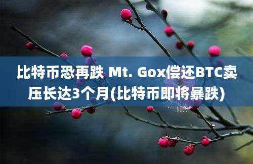 比特币恐再跌 Mt. Gox偿还BTC卖压长达3个月(比特币即将暴跌)