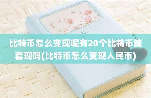 比特币怎么变现呢有20个比特币能套现吗(比特币怎么变现人民币)