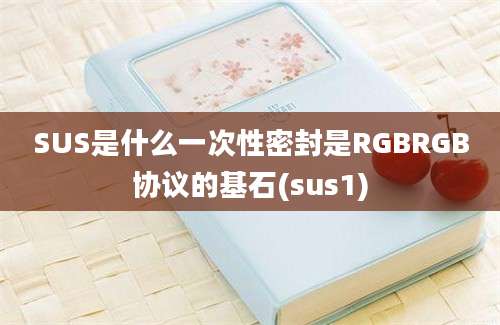 SUS是什么一次性密封是RGBRGB协议的基石(sus1)