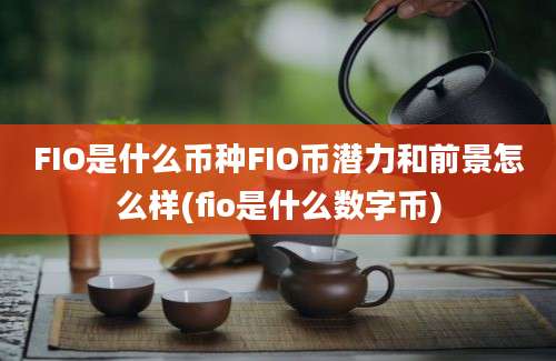 FIO是什么币种FIO币潜力和前景怎么样(fio是什么数字币)