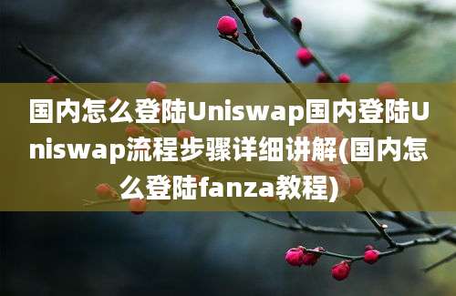 国内怎么登陆Uniswap国内登陆Uniswap流程步骤详细讲解(国内怎么登陆fanza教程)