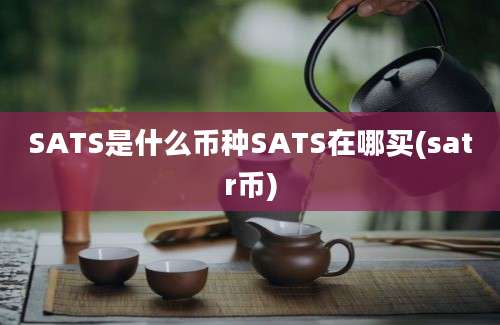 SATS是什么币种SATS在哪买(satr币)