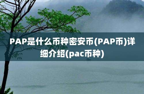 PAP是什么币种密安币(PAP币)详细介绍(pac币种)