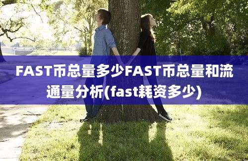 FAST币总量多少FAST币总量和流通量分析(fast耗资多少)