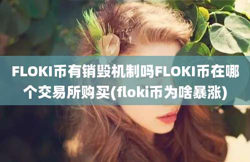 FLOKI币有销毁机制吗FLOKI币在哪个交易所购买(floki币为啥暴涨)