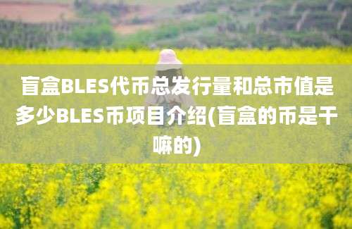 盲盒BLES代币总发行量和总市值是多少BLES币项目介绍(盲盒的币是干嘛的)