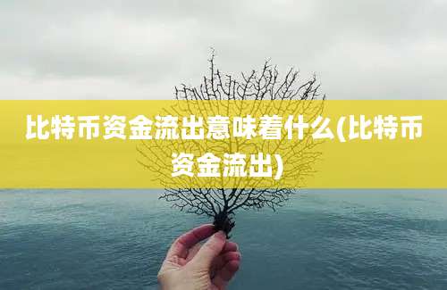 比特币资金流出意味着什么(比特币 资金流出)