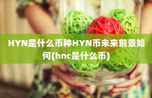 HYN是什么币种HYN币未来前景如何(hnc是什么币)