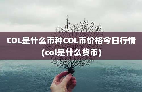 COL是什么币种COL币价格今日行情(col是什么货币)