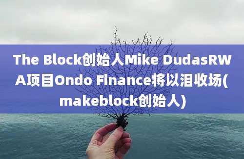 The Block创始人Mike DudasRWA项目Ondo Finance将以泪收场(makeblock创始人)