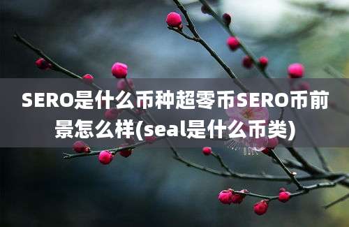 SERO是什么币种超零币SERO币前景怎么样(seal是什么币类)