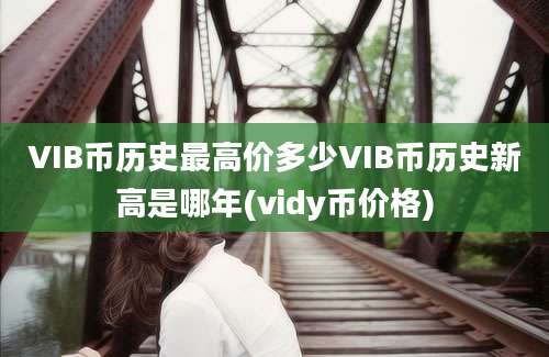 VIB币历史最高价多少VIB币历史新高是哪年(vidy币价格)