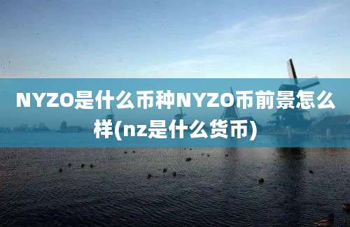 NYZO是什么币种NYZO币前景怎么样(nz是什么货币)