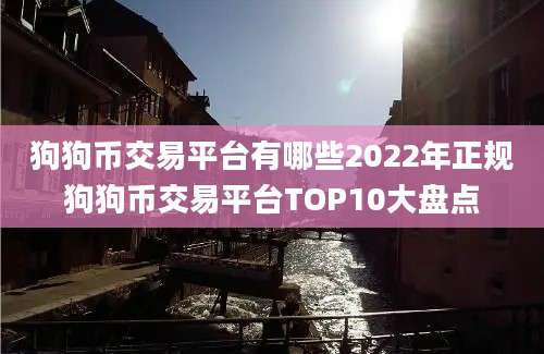 狗狗币交易平台有哪些2022年正规狗狗币交易平台TOP10大盘点