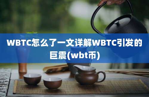 WBTC怎么了一文详解WBTC引发的巨震(wbt币)