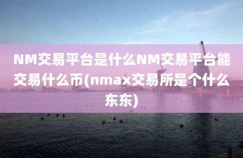 NM交易平台是什么NM交易平台能交易什么币(nmax交易所是个什么东东)