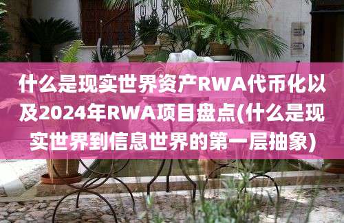 什么是现实世界资产RWA代币化以及2024年RWA项目盘点(什么是现实世界到信息世界的第一层抽象)