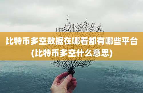 比特币多空数据在哪看都有哪些平台(比特币多空什么意思)