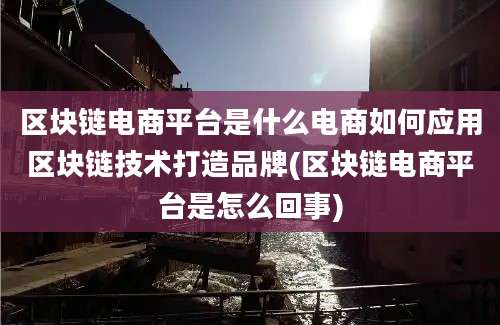 区块链电商平台是什么电商如何应用区块链技术打造品牌(区块链电商平台是怎么回事)