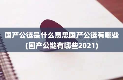 国产公链是什么意思国产公链有哪些(国产公链有哪些2021)