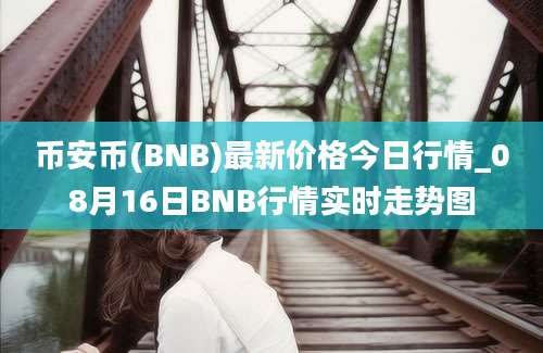 币安币(BNB)最新价格今日行情_08月16日BNB行情实时走势图