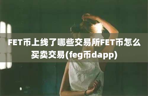 FET币上线了哪些交易所FET币怎么买卖交易(feg币dapp)