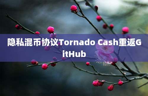 隐私混币协议Tornado Cash重返GitHub