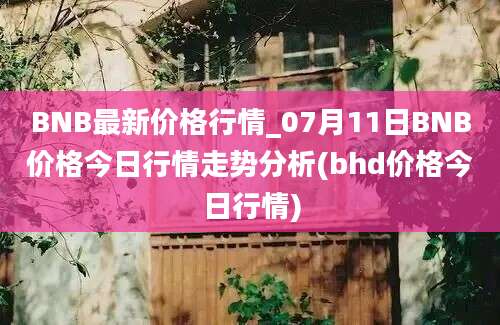 BNB最新价格行情_07月11日BNB价格今日行情走势分析(bhd价格今日行情)