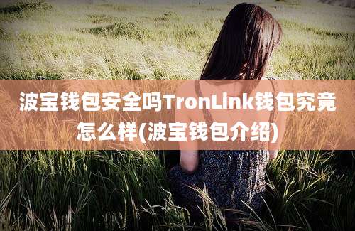 波宝钱包安全吗TronLink钱包究竟怎么样(波宝钱包介绍)