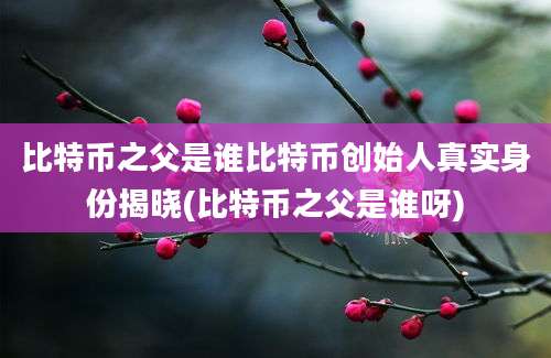 比特币之父是谁比特币创始人真实身份揭晓(比特币之父是谁呀)