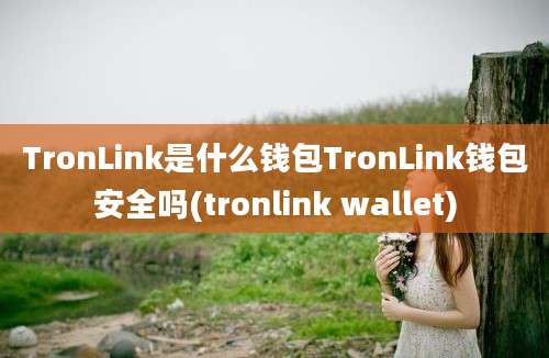 TronLink是什么钱包TronLink钱包安全吗(tronlink wallet)