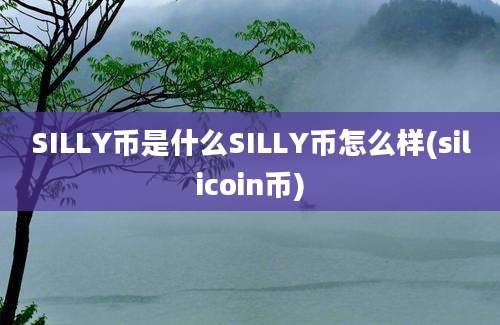 SILLY币是什么SILLY币怎么样(silicoin币)