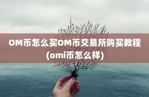 OM币怎么买OM币交易所购买教程(omi币怎么样)