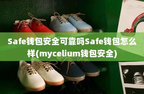 Safe钱包安全可靠吗Safe钱包怎么样(mycelium钱包安全)