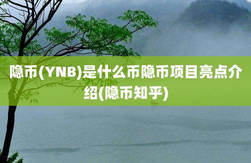 隐币(YNB)是什么币隐币项目亮点介绍(隐币知乎)