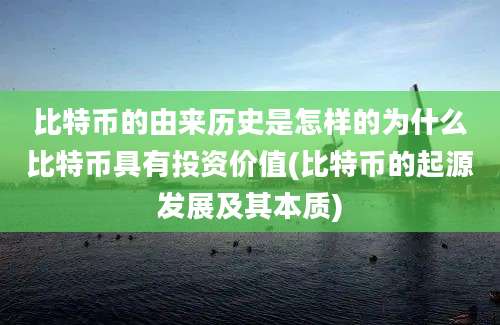 比特币的由来历史是怎样的为什么比特币具有投资价值(比特币的起源发展及其本质)