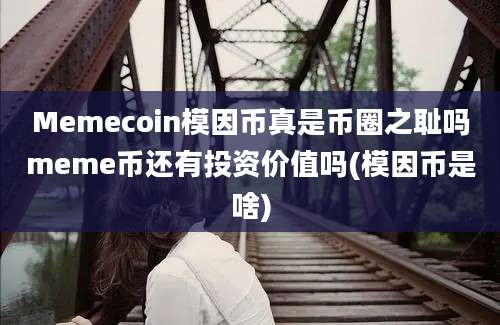 Memecoin模因币真是币圈之耻吗meme币还有投资价值吗(模因币是啥)