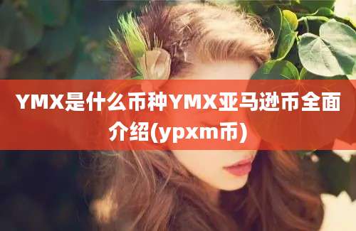 YMX是什么币种YMX亚马逊币全面介绍(ypxm币)