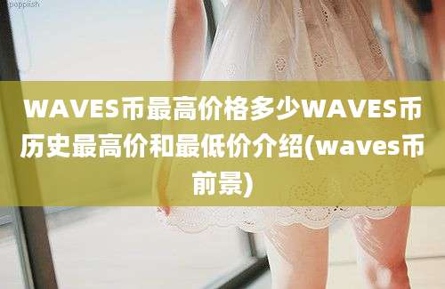 WAVES币最高价格多少WAVES币历史最高价和最低价介绍(waves币前景)