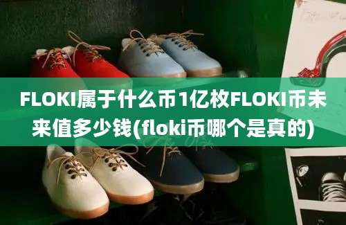 FLOKI属于什么币1亿枚FLOKI币未来值多少钱(floki币哪个是真的)