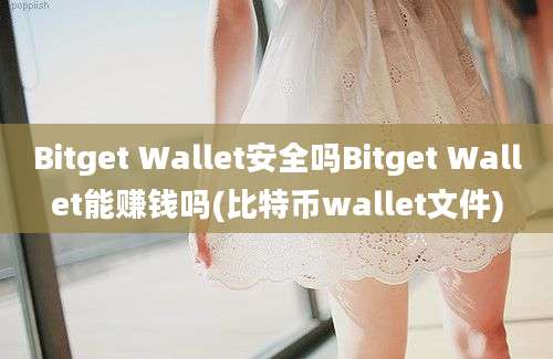 Bitget Wallet安全吗Bitget Wallet能赚钱吗(比特币wallet文件)