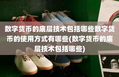 数字货币的底层技术包括哪些数字货币的使用方式有哪些(数字货币的底层技术包括哪些)