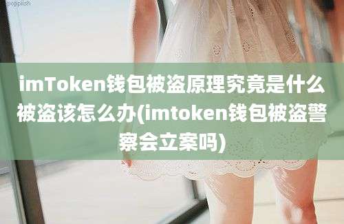 imToken钱包被盗原理究竟是什么被盗该怎么办(imtoken钱包被盗警察会立案吗)