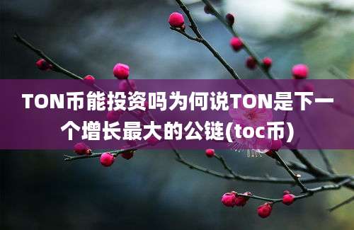 TON币能投资吗为何说TON是下一个增长最大的公链(toc币)