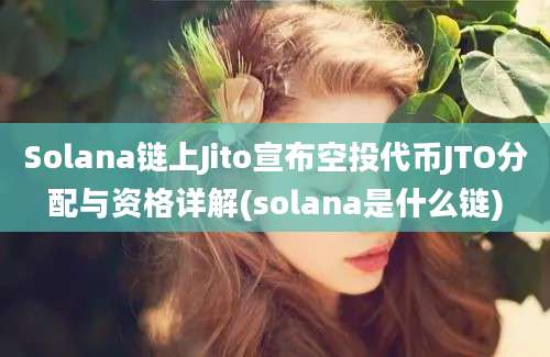 Solana链上Jito宣布空投代币JTO分配与资格详解(solana是什么链)