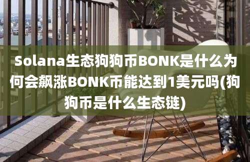 Solana生态狗狗币BONK是什么为何会飙涨BONK币能达到1美元吗(狗狗币是什么生态链)