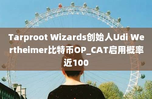 Tarproot Wizards创始人Udi Wertheimer比特币OP_CAT启用概率近100